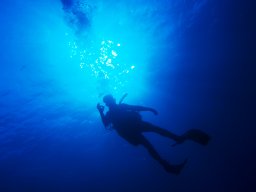 diving_01