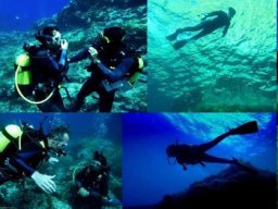 diving_05