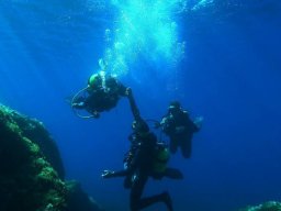 diving_07