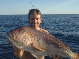 fish_01