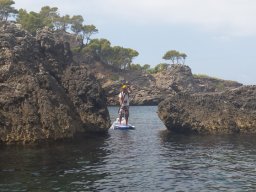 paddle_02