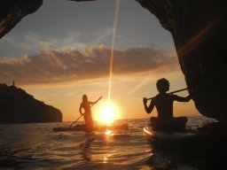 paddle_03
