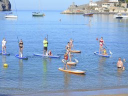 paddle_07